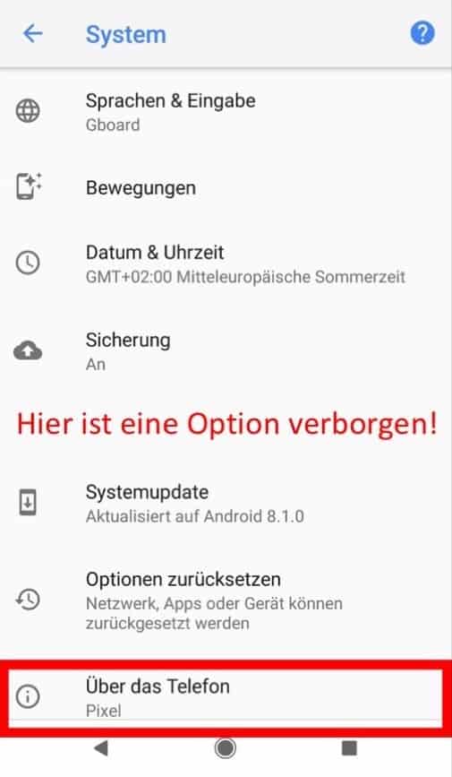 Graustufen auf Android Schritt 2